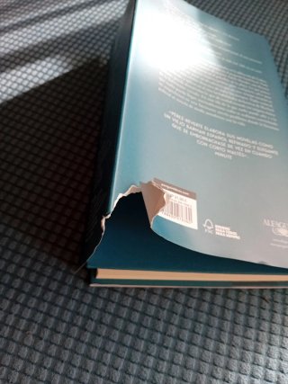 El problema final