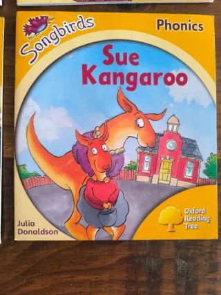 Oxford Reading Tree: Stage 5: Songbirds: The Ci...
