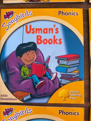 Oxford Reading Tree: Stage 5: Songbirds: The Ci...
