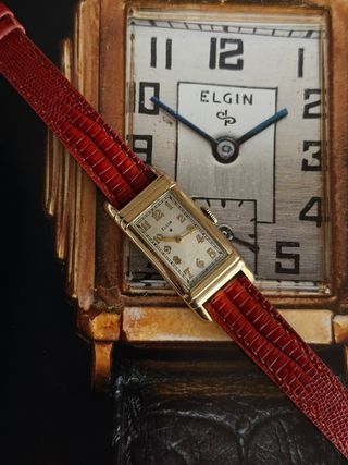 Elgin Curvex