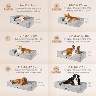Sofá Ortopédico Perro XXL Espuma Memo