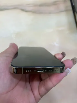 iPhone 14 Pro Apple Dorado/Plateado