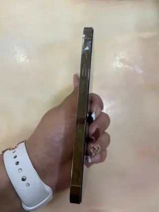 iPhone 14 Pro Apple Dorado/Plateado