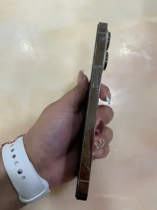 iPhone 14 Pro Apple Dorado/Plateado