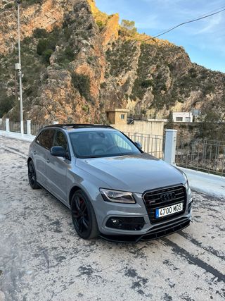 Audi SQ5 2013