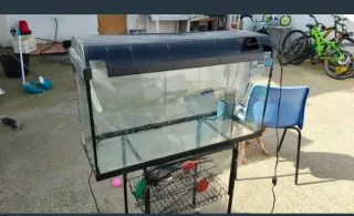 Acuario grande con tapa negra