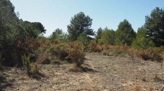 Terreno en venta en Calicanto - Cumbres de Calicanto - Santo Domingo en Torrent