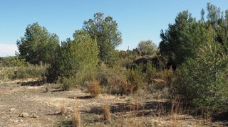 Terreno en venta en Calicanto - Cumbres de Calicanto - Santo Domingo en Torrent
