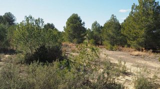 Terreno en venta en Calicanto - Cumbres de Calicanto - Santo Domingo en Torrent