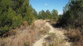 Terreno en venta en Calicanto - Cumbres de Calicanto - Santo Domingo en Torrent