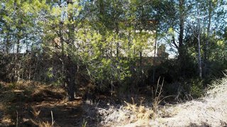 Terreno en venta en Calicanto - Cumbres de Calicanto - Santo Domingo en Torrent