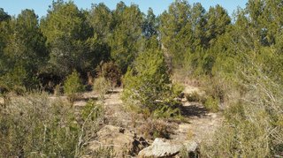 Terreno en venta en Calicanto - Cumbres de Calicanto - Santo Domingo en Torrent