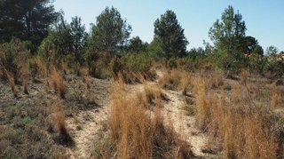 Terreno en venta en Calicanto - Cumbres de Calicanto - Santo Domingo en Torrent