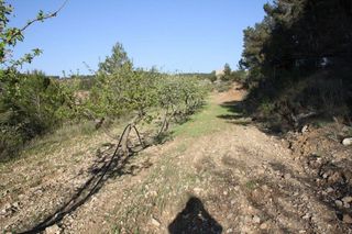 Solar en venta en Móra d´Ebre