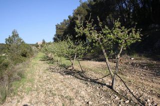 Solar en venta en Móra d´Ebre