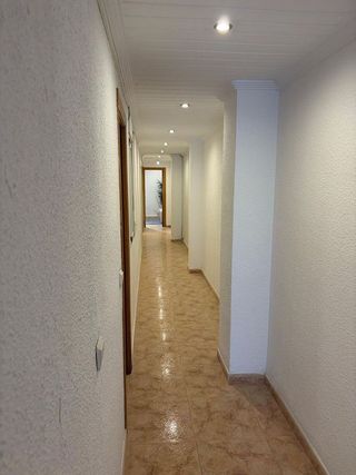 Piso en alquiler en Nou Moles en Valencia