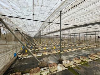 Terreno en venta en Playa de Granada en Motril