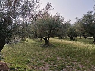Terreno en venta en Roquetes