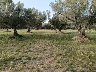 Terreno en venta en Roquetes