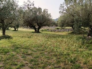Terreno en venta en Roquetes