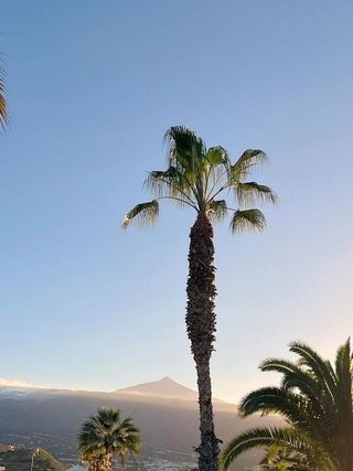 Piso en alquiler en San Antonio - Las Arenas en Puerto de la Cruz