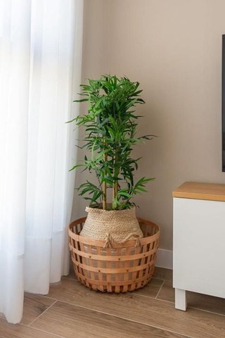 Piso en alquiler en Palma - Palmilla en Málaga