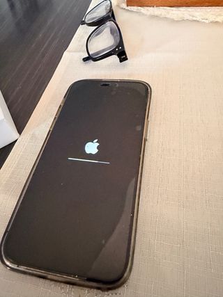 iPhone 14 Pro Max Viola