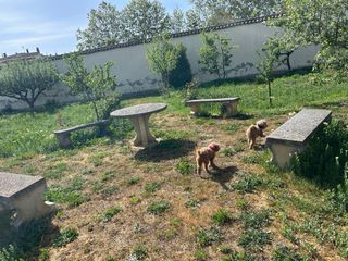 Mesa y banco de piedra