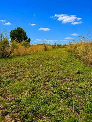 Terreno en venta en Pobla (Sa)