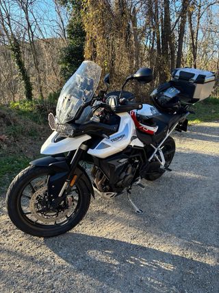 Triumph Tiger 900 GT Low 2021