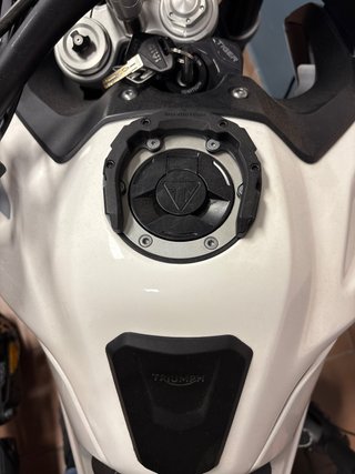 Triumph Tiger 900 GT Low 2021