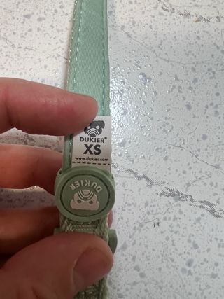 Collar para perro Dukier verde