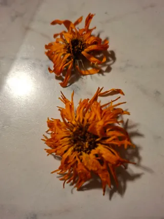Fiori essiccati misti