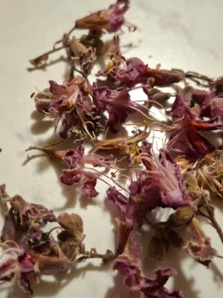 Fiori essiccati misti