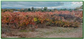 Terreno en venta en Nájera