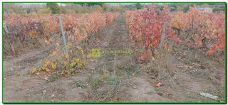 Terreno en venta en Nájera