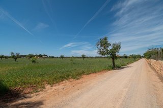 Terreno en venta en Campos
