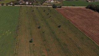 Terreno en venta en Campos