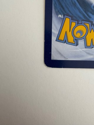 Pokémon Raticate 2016 XY Evoluzioni ITA