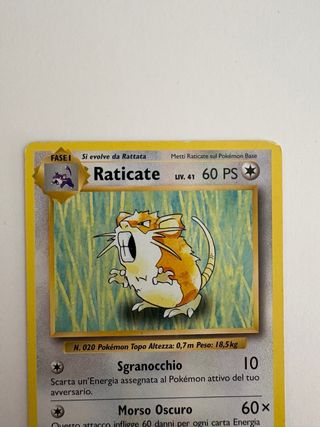 Pokémon Raticate 2016 XY Evoluzioni ITA