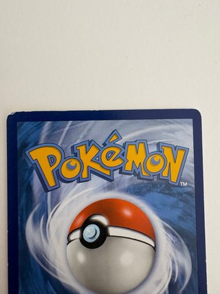 Pokémon Raticate 2016 XY Evoluzioni ITA