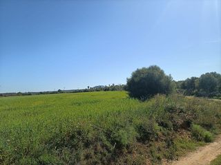 Solar en venta en Campos