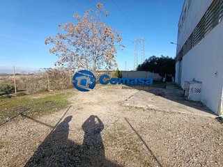 Local comercial en venta en Martos