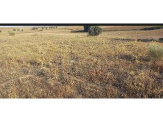 Terreno en venta en Casarrubios del Monte pueblo en Casarrubios del Monte