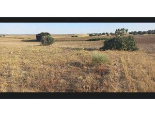Terreno en venta en Casarrubios del Monte pueblo en Casarrubios del Monte