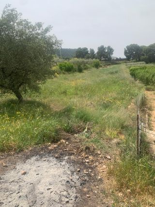 Se vende terreno en mula