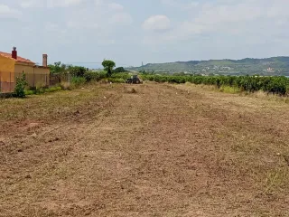 Terreno rústico en venta