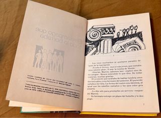 Libro: “ El relámpago que todo lo borraba”