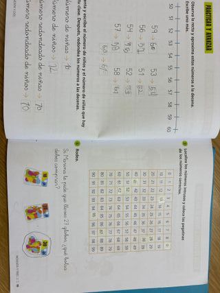 Proyecto: FanFest - Matemáticas 1 - Pauta. Trim...