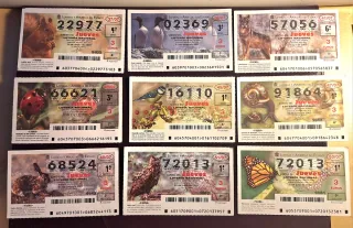 Lotería Nacional Décimos Fauna primera 156 decimos